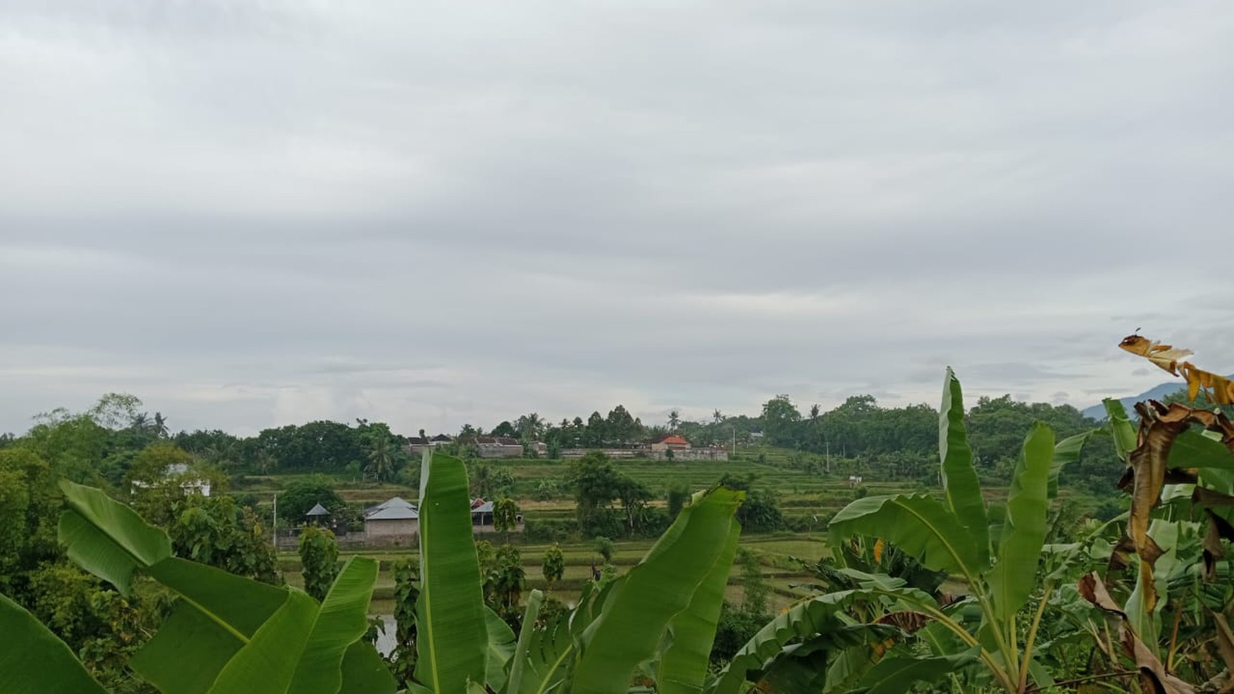 Land For Sale in Panji