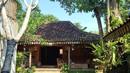 Rumah Kasturi Nuansa Alami di Bintaro sektor 9