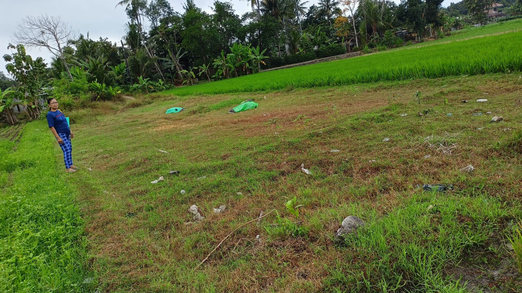 Tanah Luas 618 Meter Persegi di Bambanglipuro Bantul