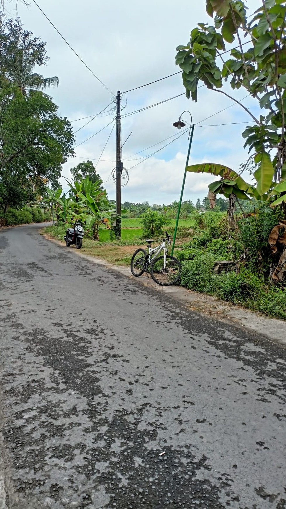 Tanah Luas 618 Meter Persegi di Bambanglipuro Bantul