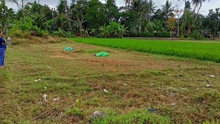 Tanah Luas 618 Meter Persegi di Bambanglipuro Bantul