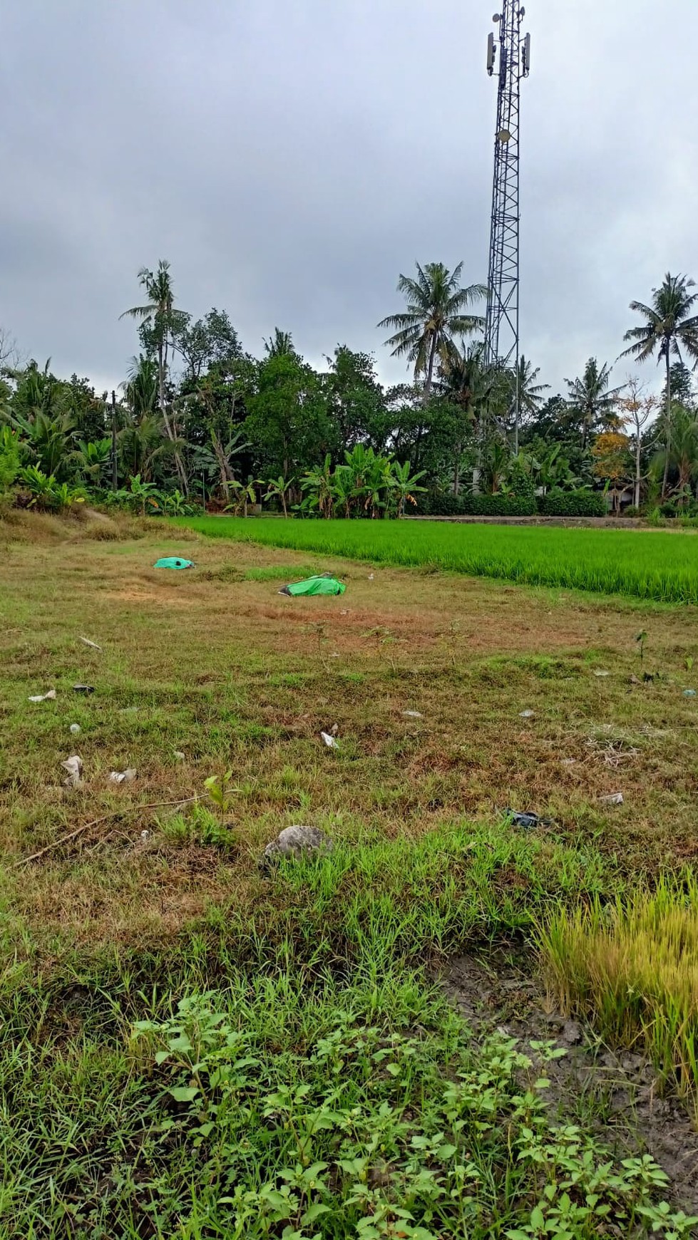 Tanah Luas 618 Meter Persegi di Bambanglipuro Bantul