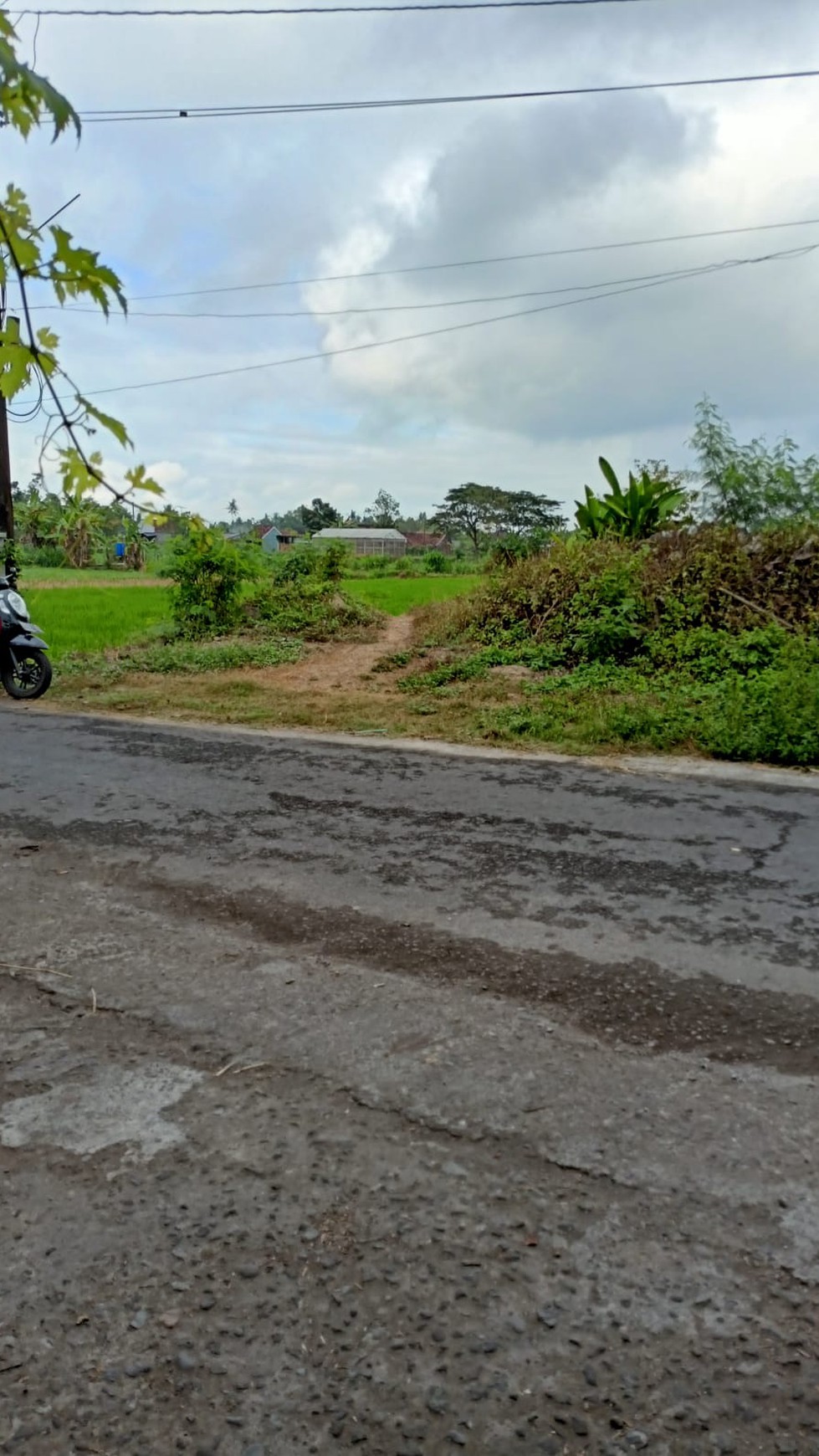 Tanah Luas 618 Meter Persegi di Bambanglipuro Bantul