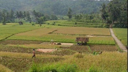 Tanah Siap Bangun di Kp Babakan, Ganeas Sumedang