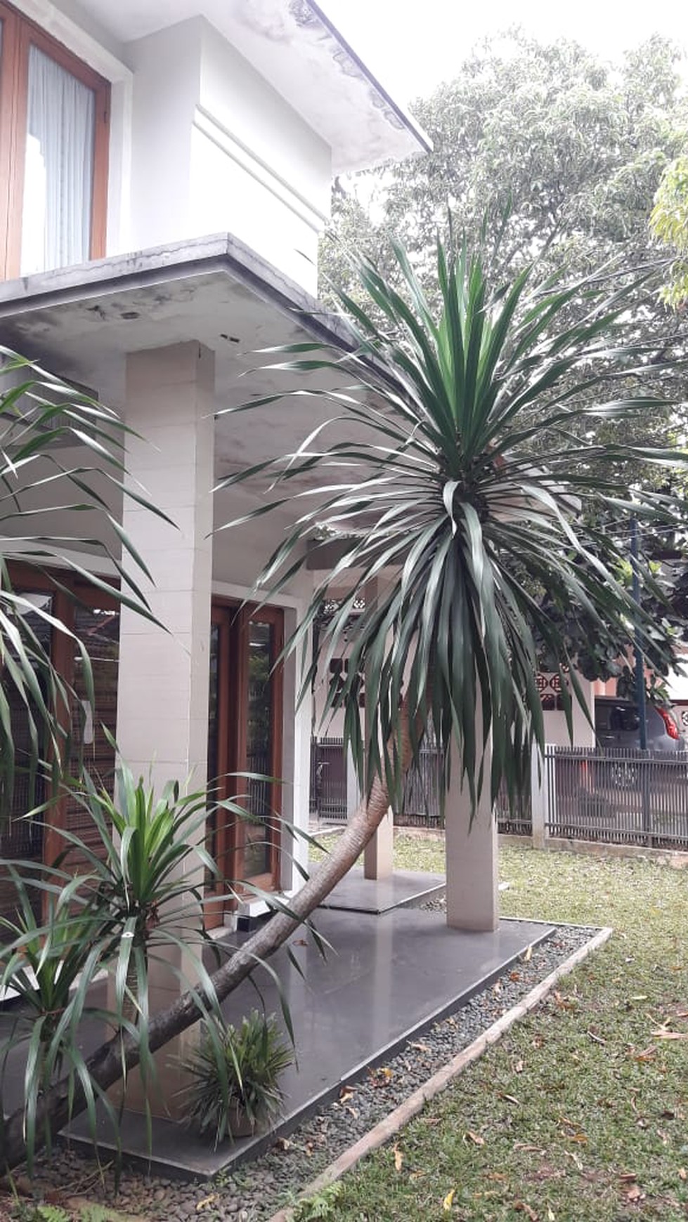 Rumah Cantik Harga Nego Sampai Deal Di Bintaro 