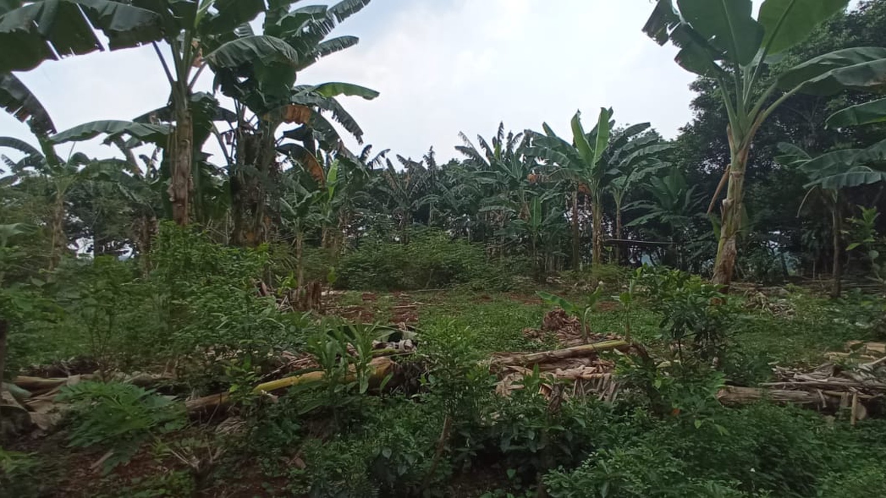 Tanah Siap Bangun Dekat Perumahan Harvest City