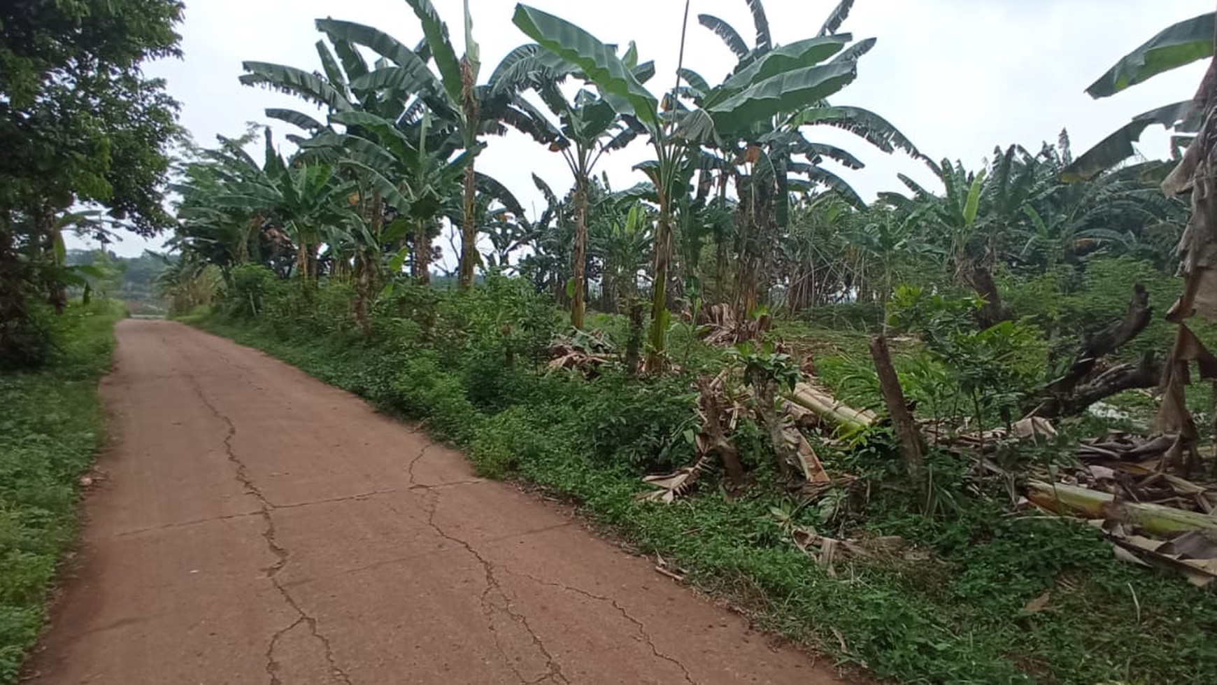 Tanah Siap Bangun Dekat Perumahan Harvest City