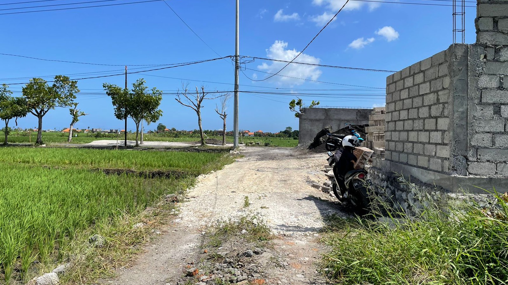 Villa near Seseh Beach