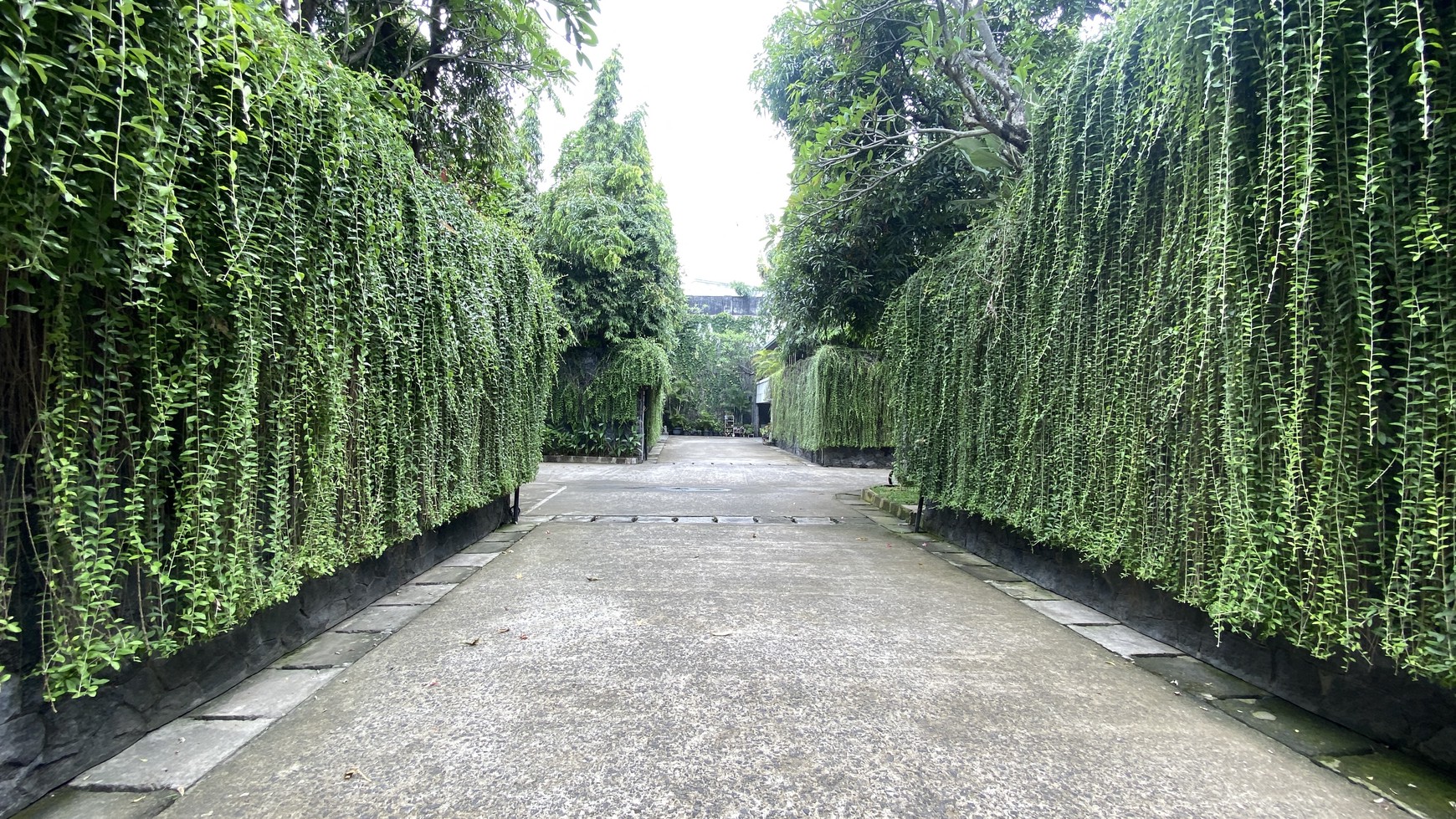 BEAUTIFUL AND COMFY HOUSE AT SENOPATI AREA