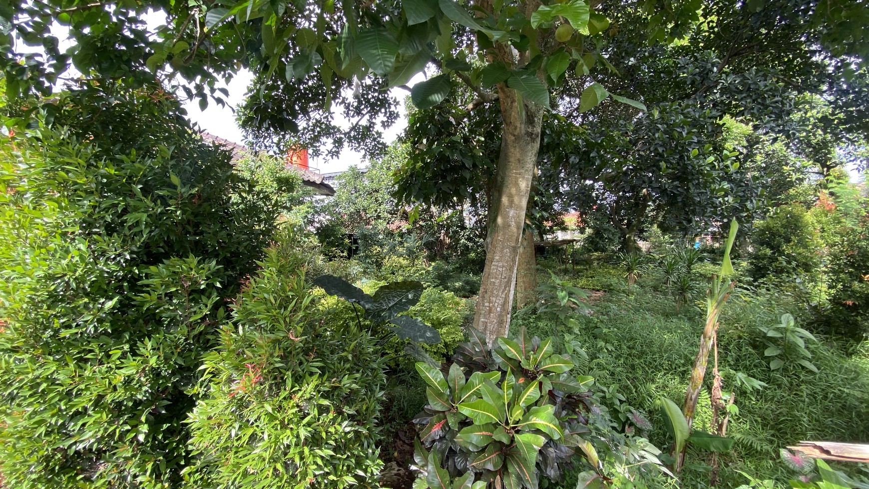DIJUAL TANAH KOMERSIAL DEKAT RSUD DEPOK