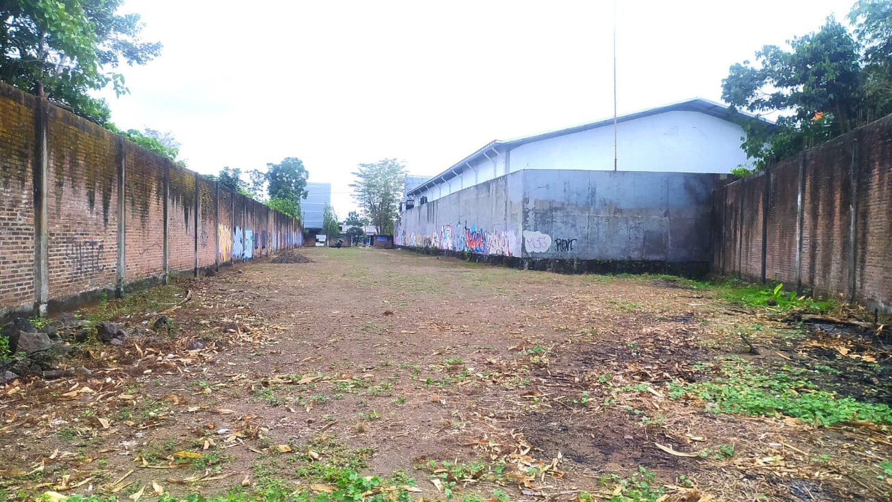 Tanah Luas 1580 Meter Persegi di Gamping Sleman