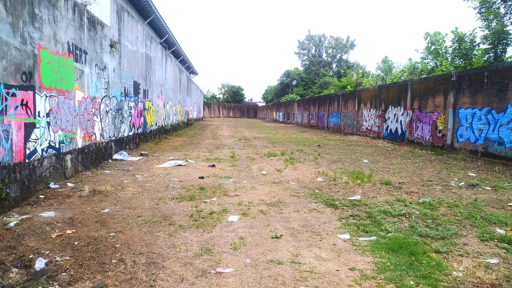 Tanah Luas 1580 Meter Persegi di Gamping Sleman