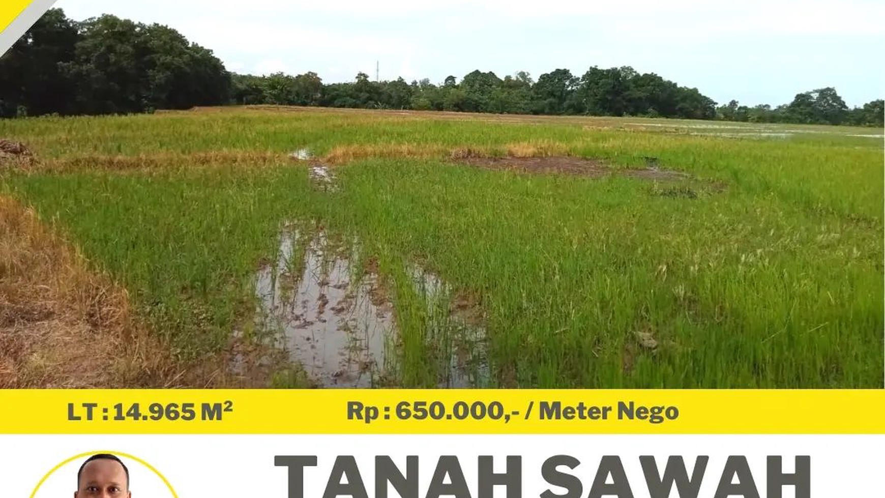 dijual lahan sawah strategis