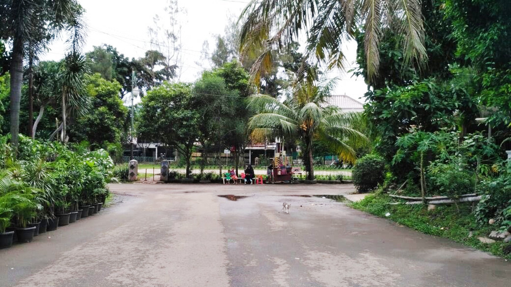 Rumah Nyaman di dalam kompleks Binamarga, Jaksel