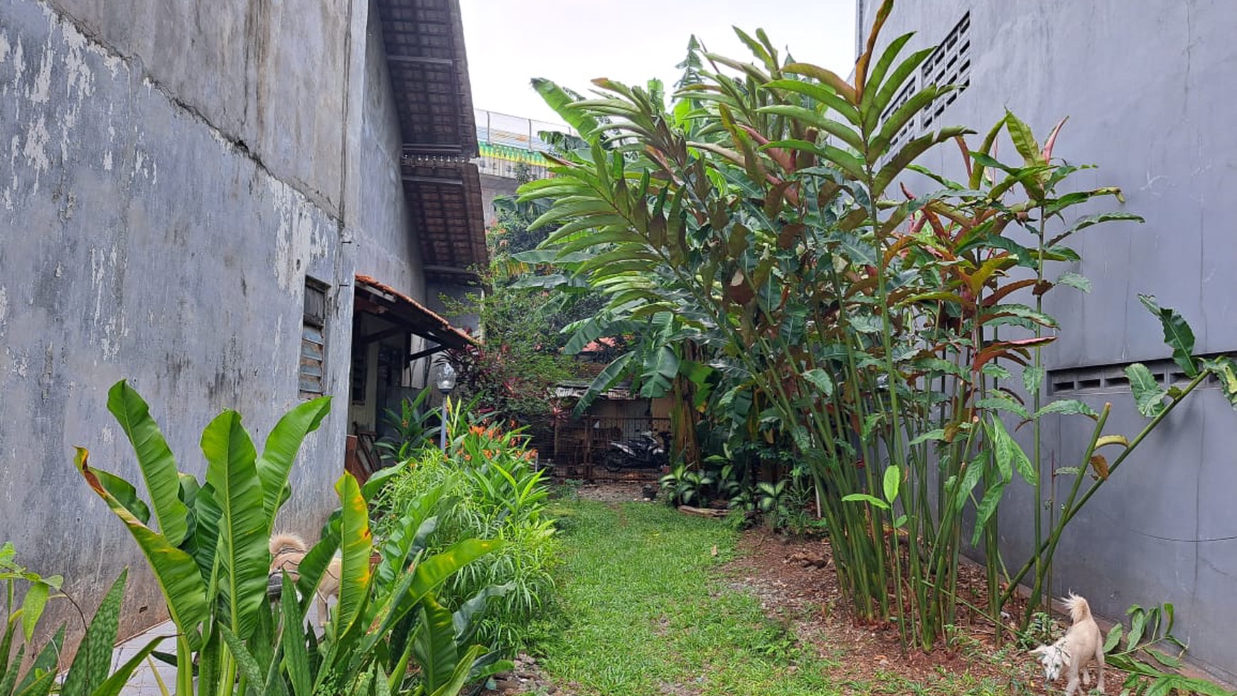 Rumah Hitung Tanah Di Lokasi Strategis Jl Ciledug Raya Jakarta Selatan