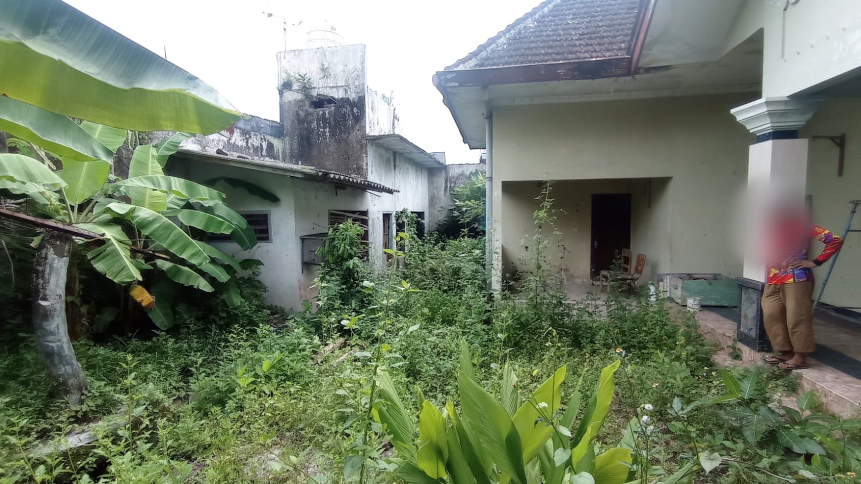 Rumah Mewah Harga Tanah, Luas & Butuh Renovasi, Borobudur Agung