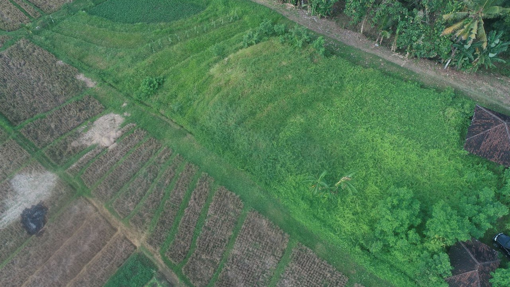 Freehold - Available Land 2080 sqm with Ricefield and River View in Yeh Gangga