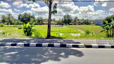 TANAH PEKARANGAN SELUAS 2168 METER PERSEGI, DI RINGROAD DEKAT KAMPUS UMY