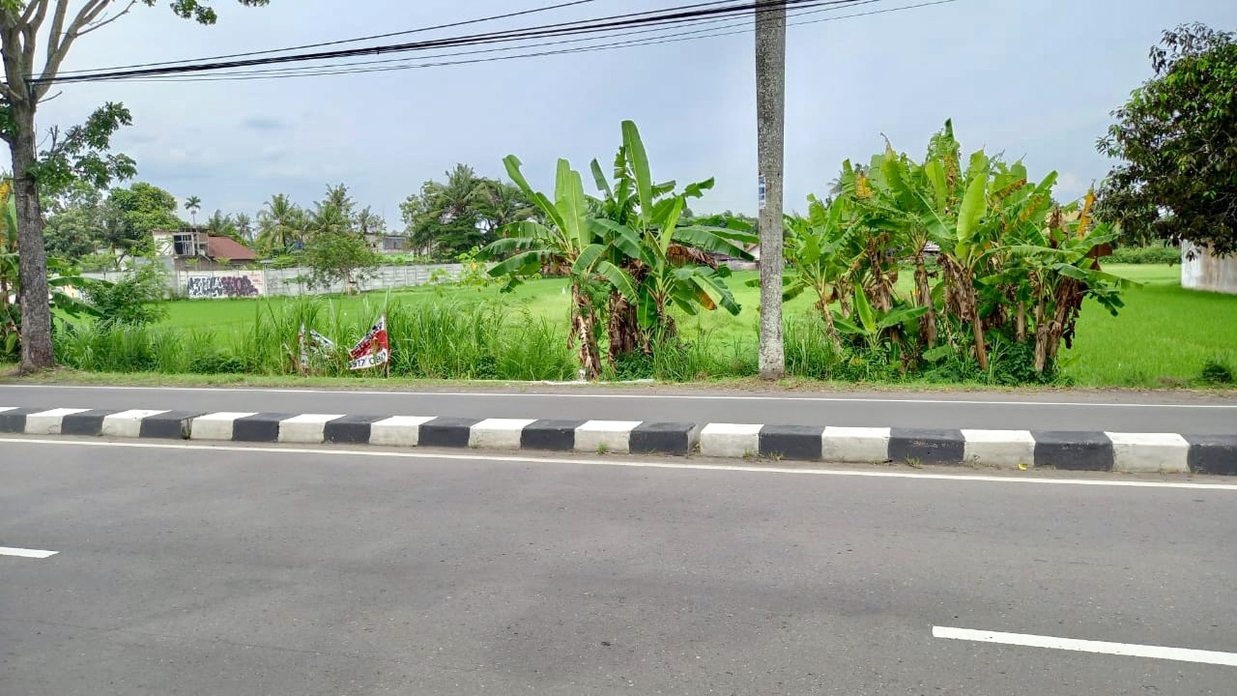 TANAH PEKARANGAN SELUAS 2168 METER PERSEGI, DI RINGROAD DEKAT KAMPUS UMY