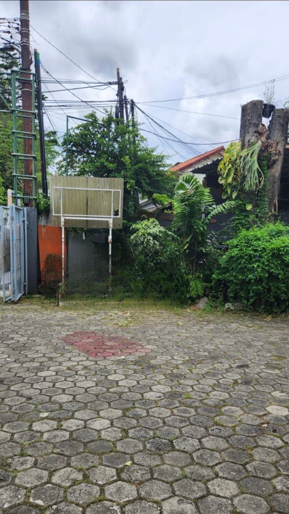 Tanah di Pejaten