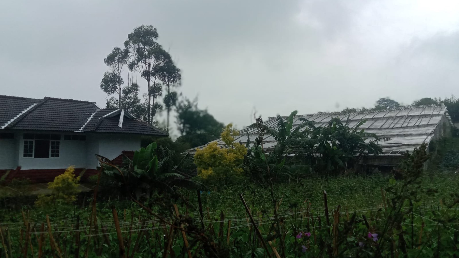 Tanah di Lembang cocok untuk Usaha atau Perumahan JARANG ADA !