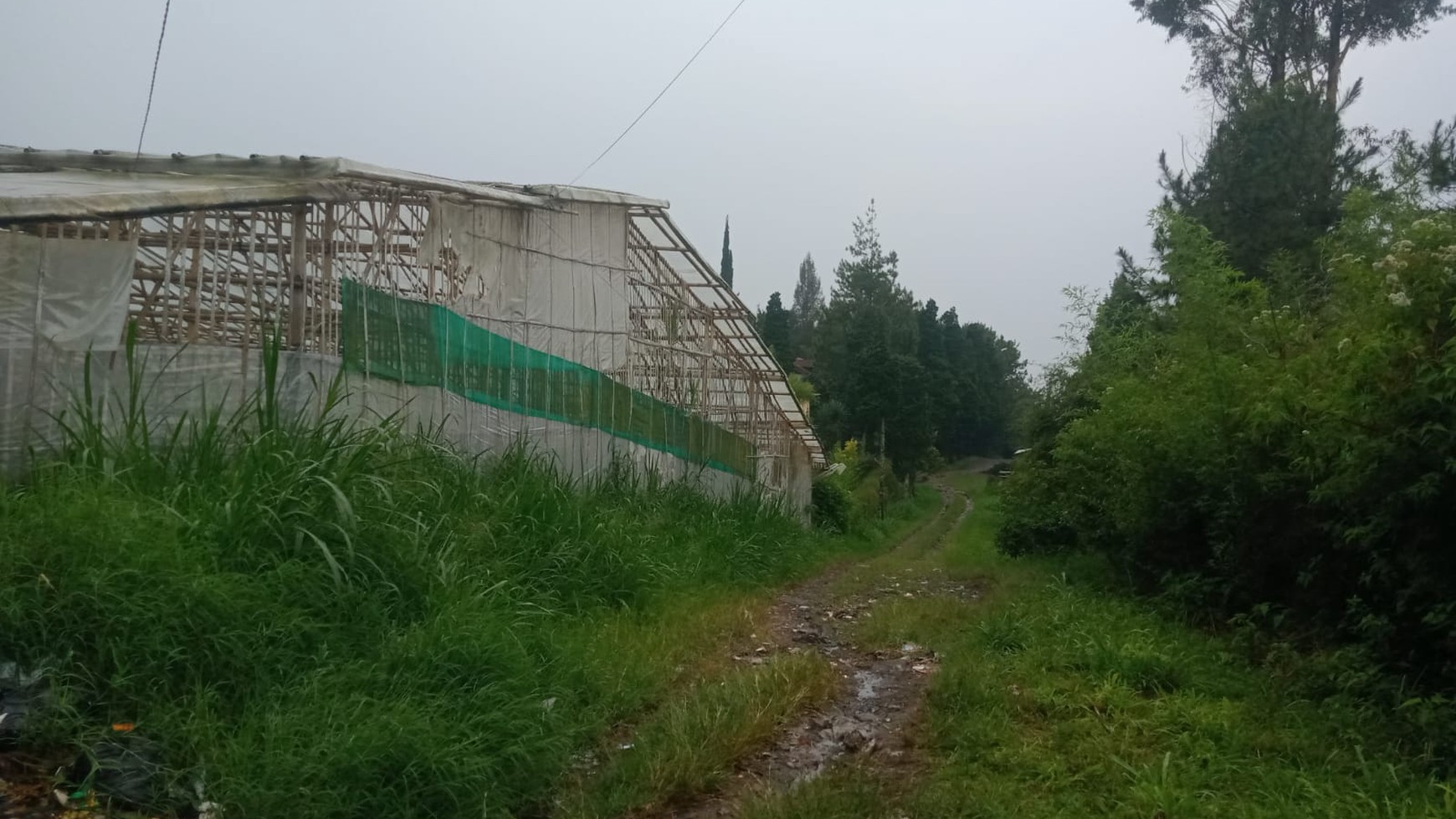 Tanah di Lembang cocok untuk Usaha atau Perumahan JARANG ADA !