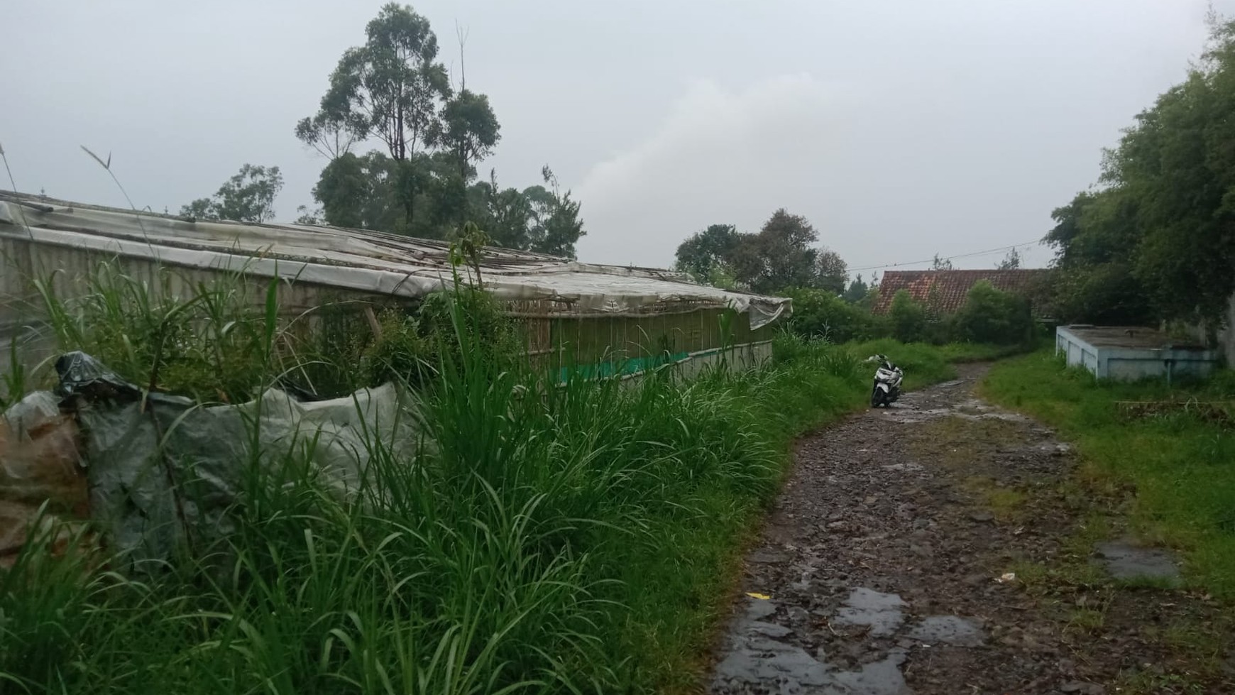 Tanah di Lembang cocok untuk Usaha atau Perumahan JARANG ADA !