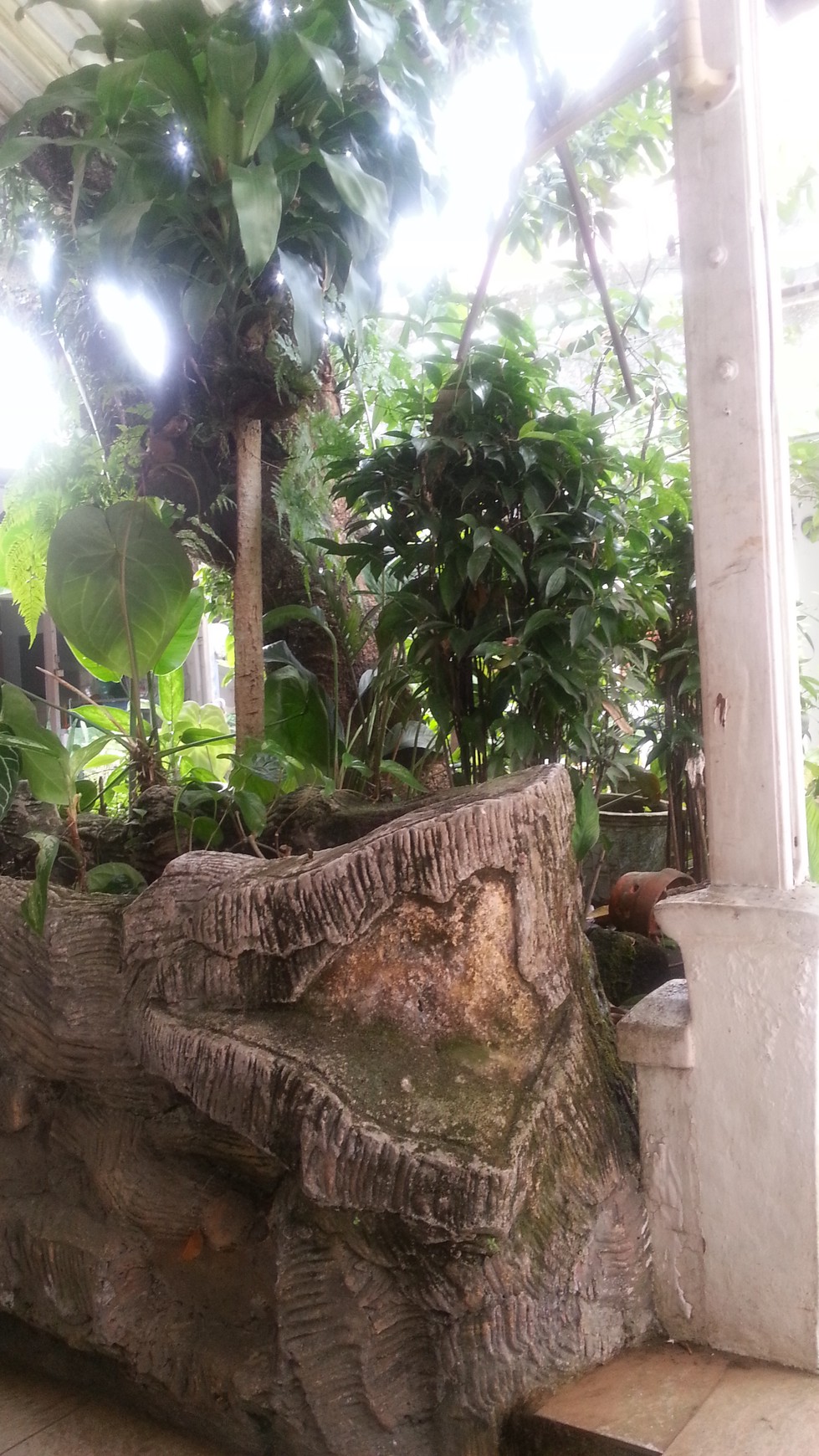 Dijual Cepat.. Rumah di Haur Jaya Bogor..