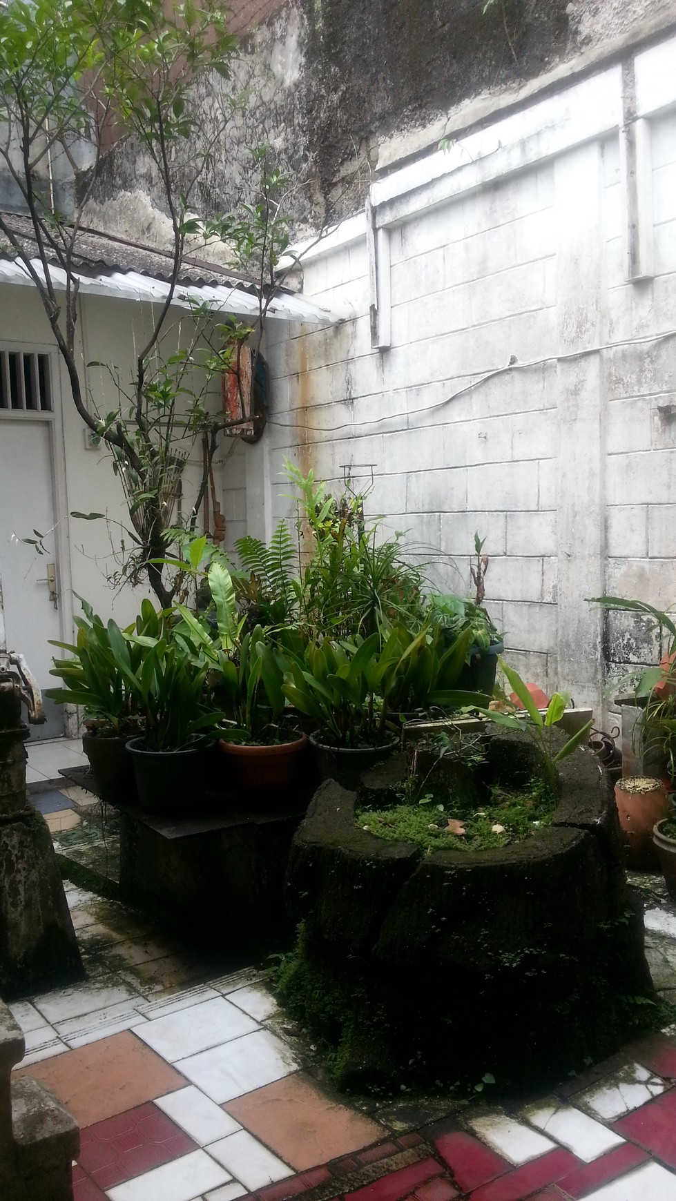 Dijual Cepat.. Rumah di Haur Jaya Bogor..