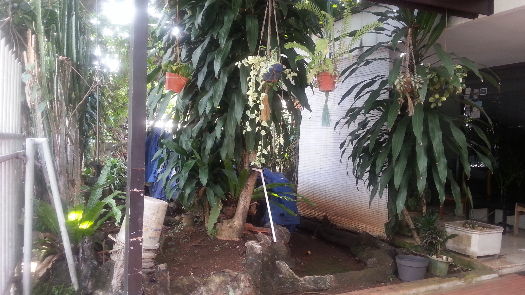 Dijual Cepat.. Rumah di Haur Jaya Bogor..