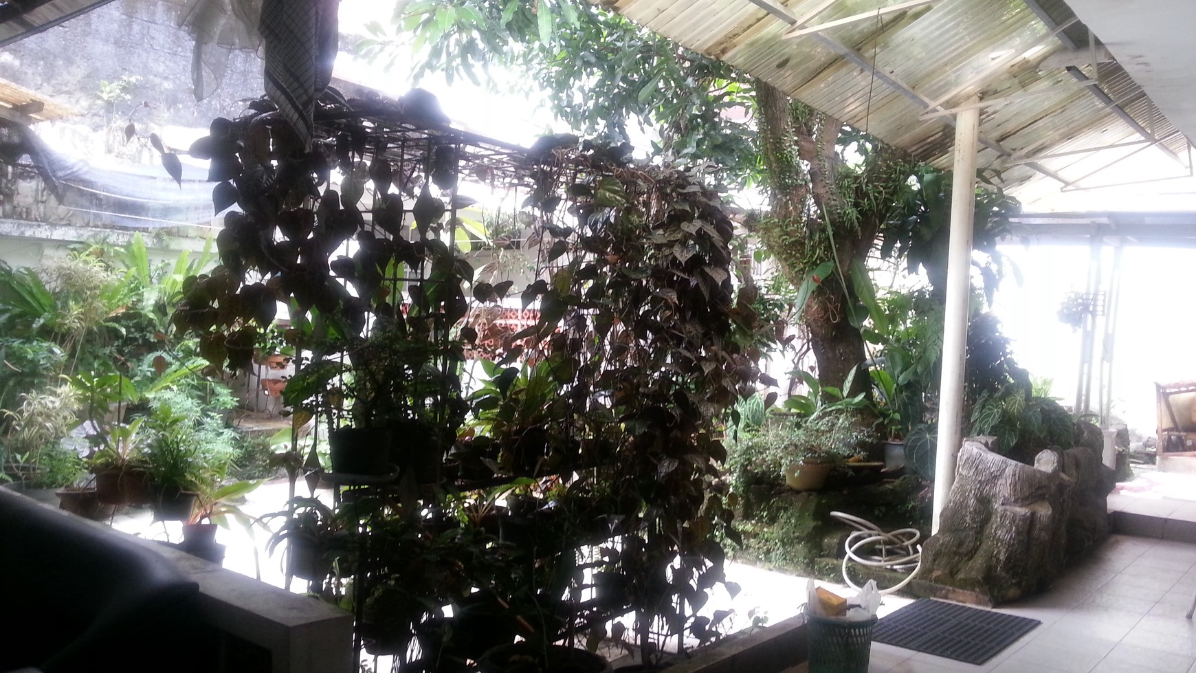 Dijual Cepat.. Rumah di Haur Jaya Bogor..
