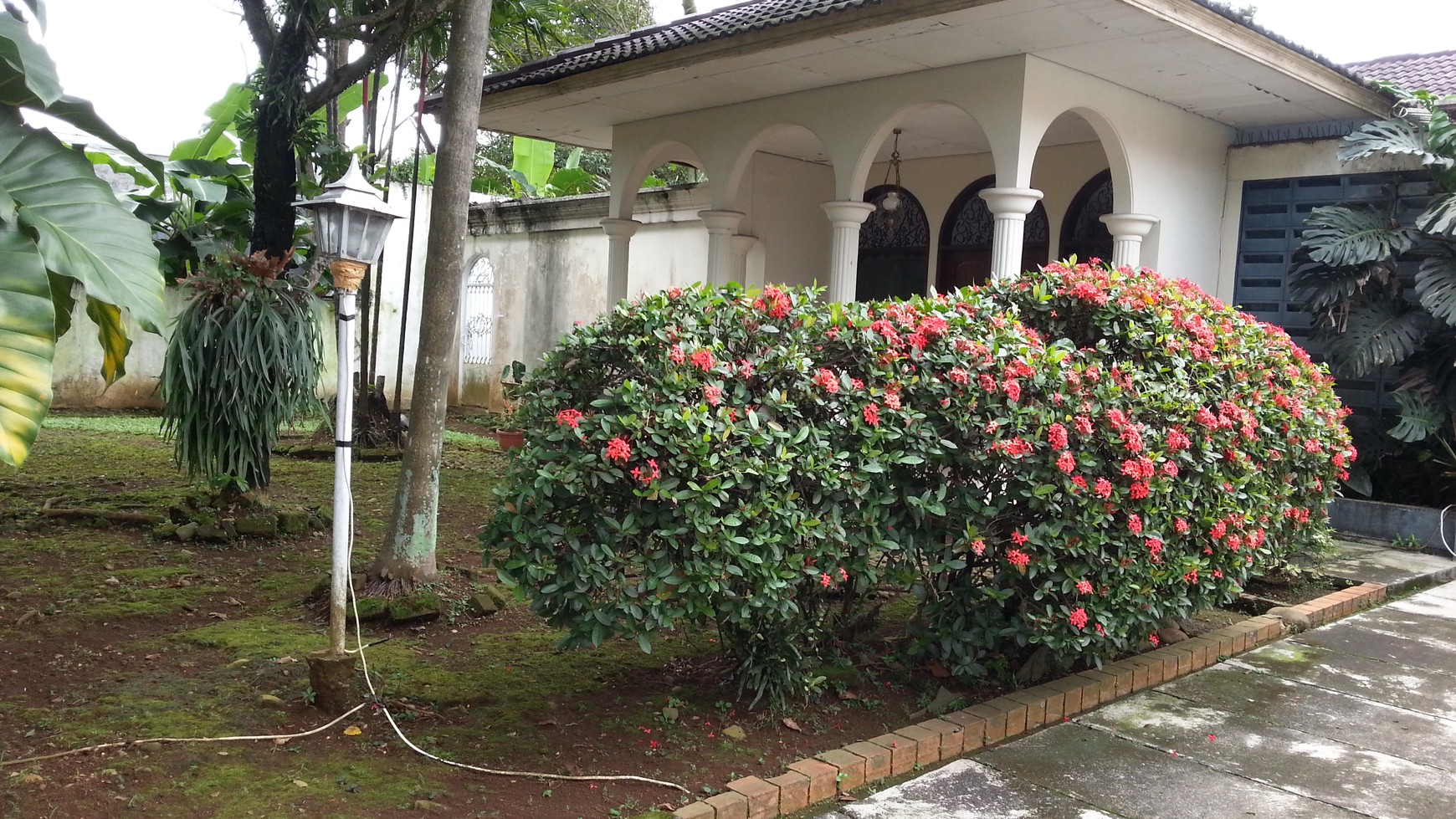 DIJUAL CEPAT Rumah dekat Istana Bogor