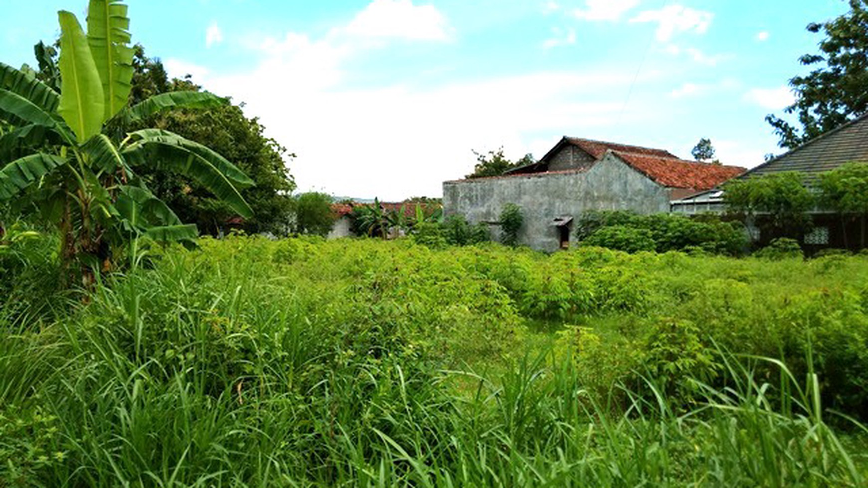 Kavling Candi Sari Luas 1017m, Harga 2,5Jt/m, MURAH!!! Lokasi OK!