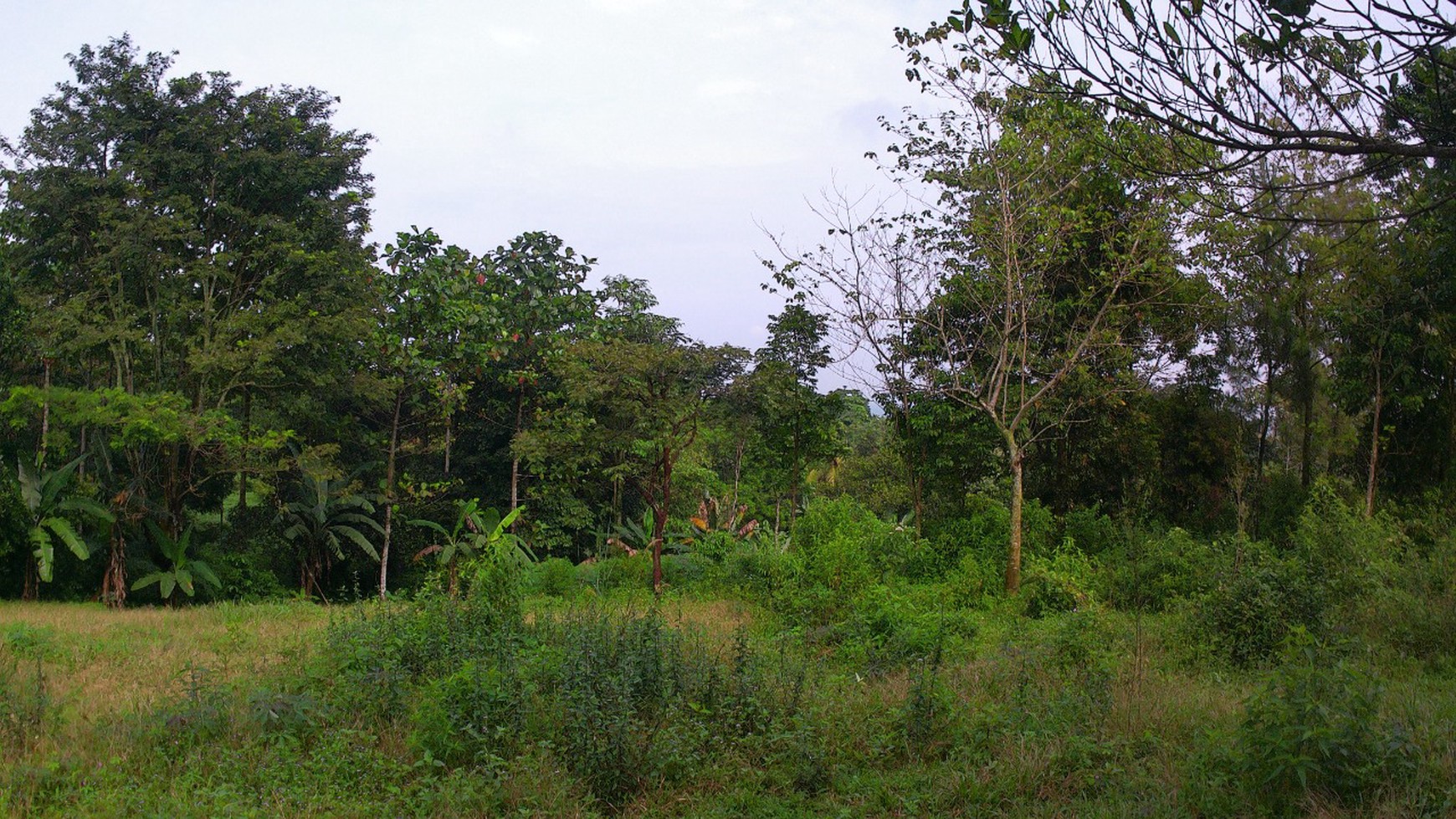 Kavling siap bangun cocok untuk Cluster di Bogor.