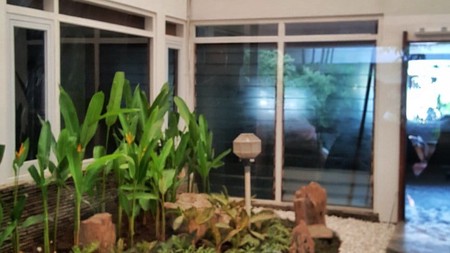 Rumah asri dan nyaman, siap huni di Menteng, Jakarta Pusat