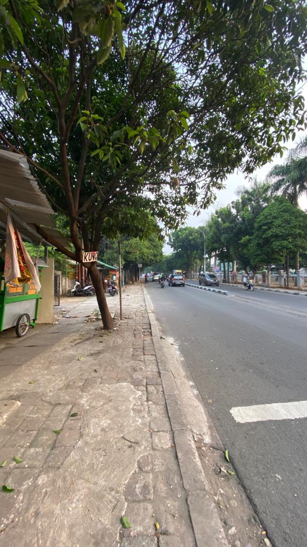 Rumah Hitung Tanah Cilandak Kko Raya, Cocok Untuk Usaha