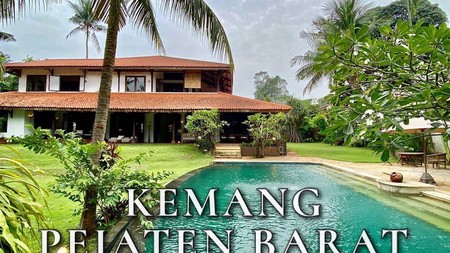 Rumah Gaya Bali Taman yang Luas Area Pejaten Barat