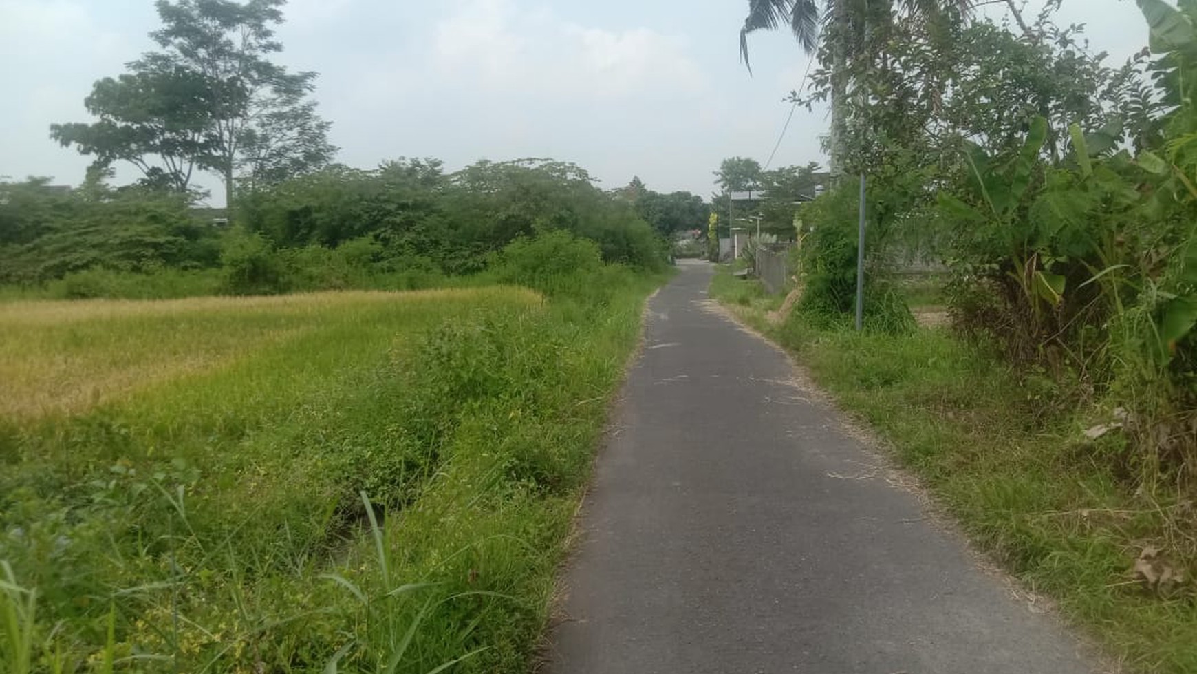 Tanah Pekarangan Luas 476 Meter Persegi Ngaglik Sleman 