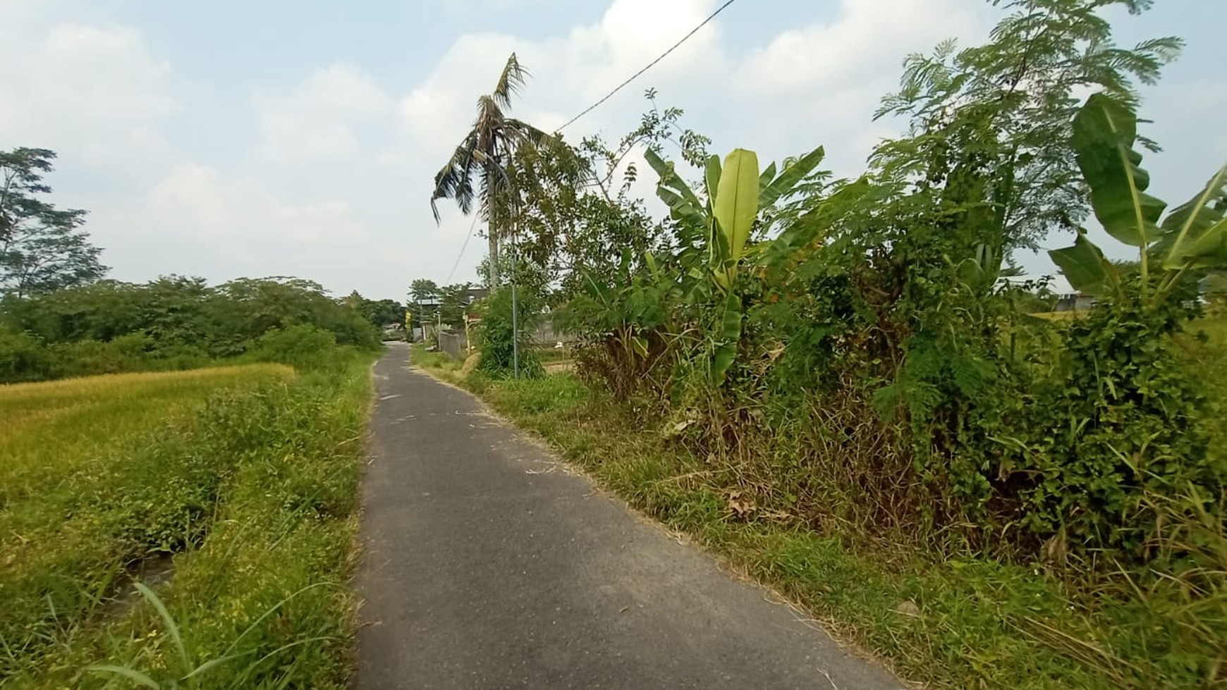 Tanah Pekarangan Luas 476 Meter Persegi Ngaglik Sleman 