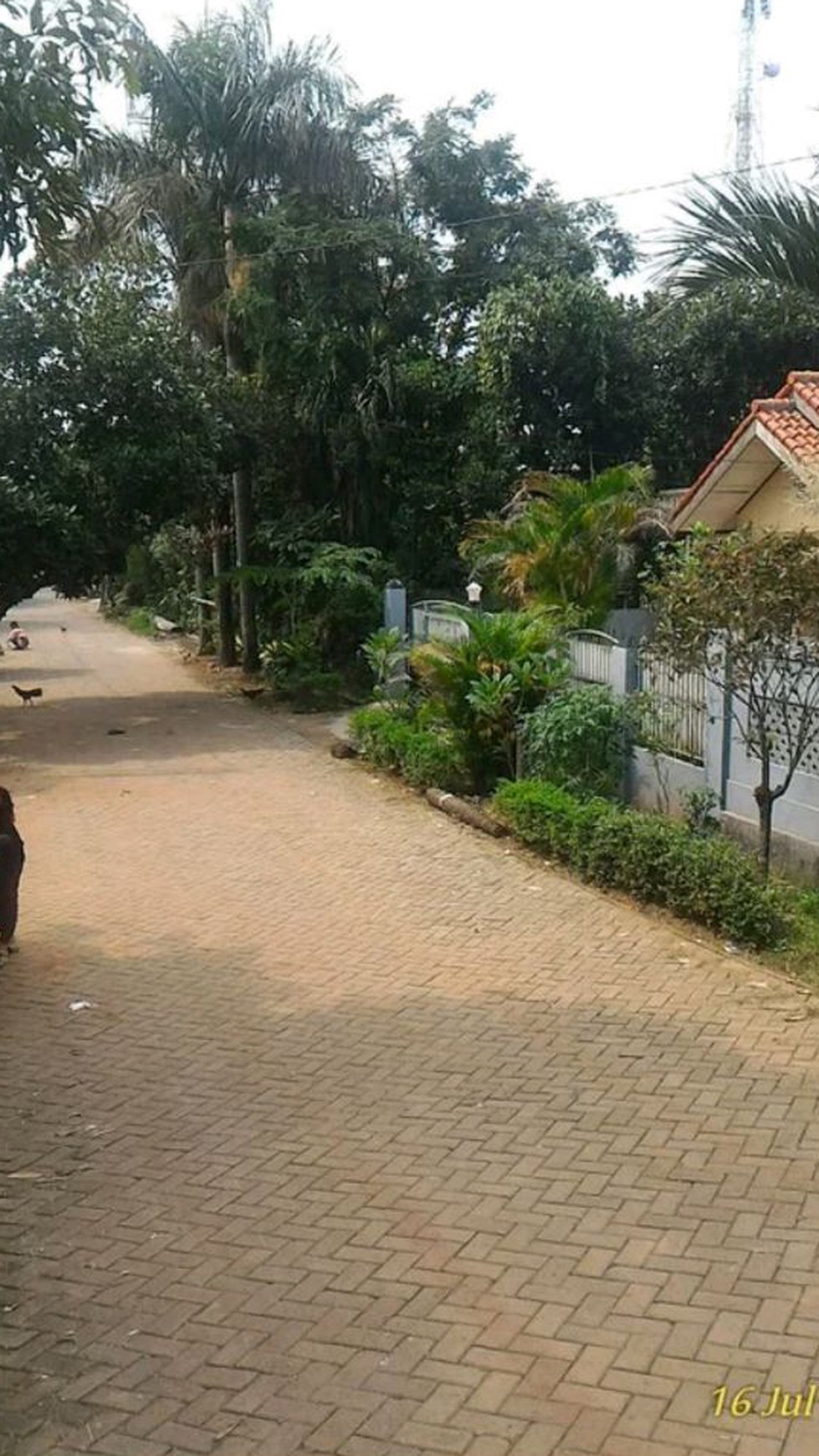 Rumah Bagus Di Jl Kasuari, Cipadu Tangerang