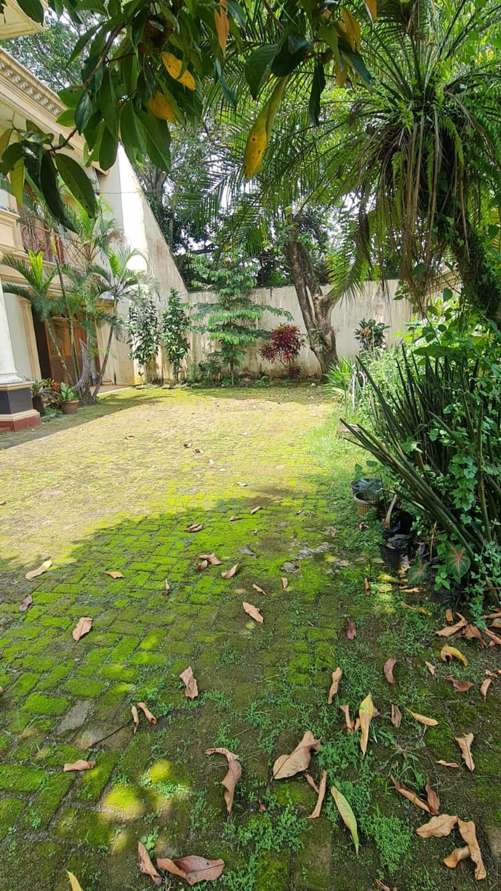 Rumah Bagus Di Jl H Jamat, Ciater BSD Tangerang Selatan