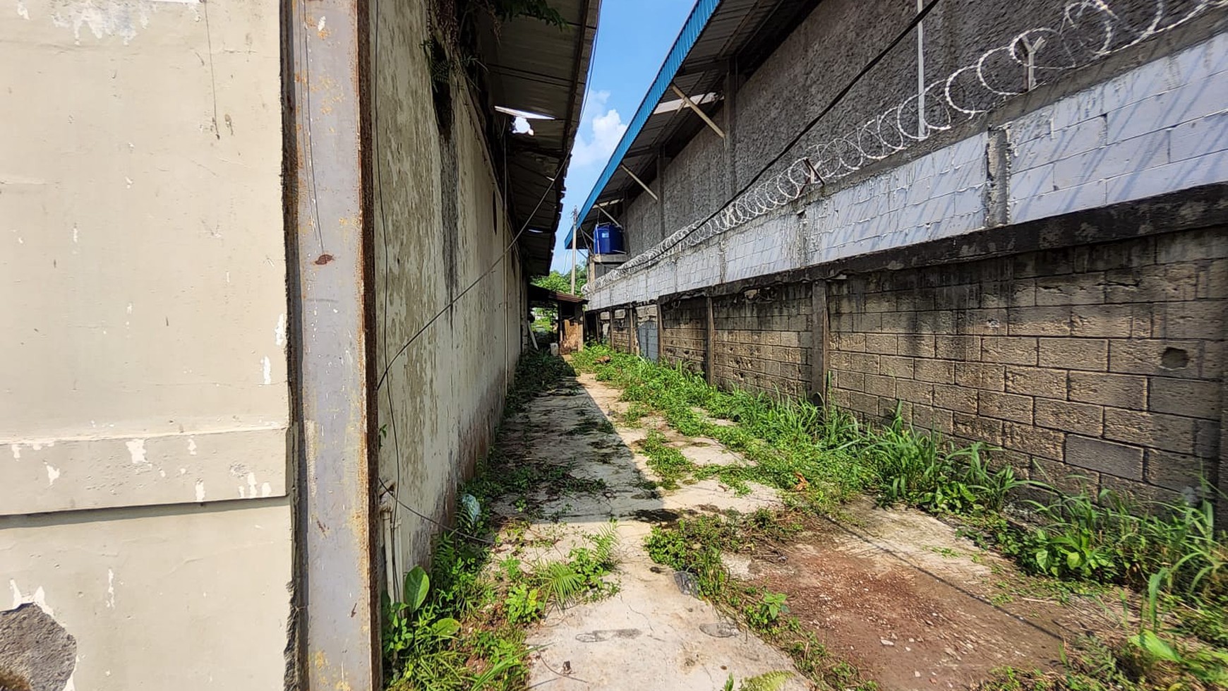 Kavling Lokasi Strategis di Jl Pemuda, Gunung Sindur, Bogor