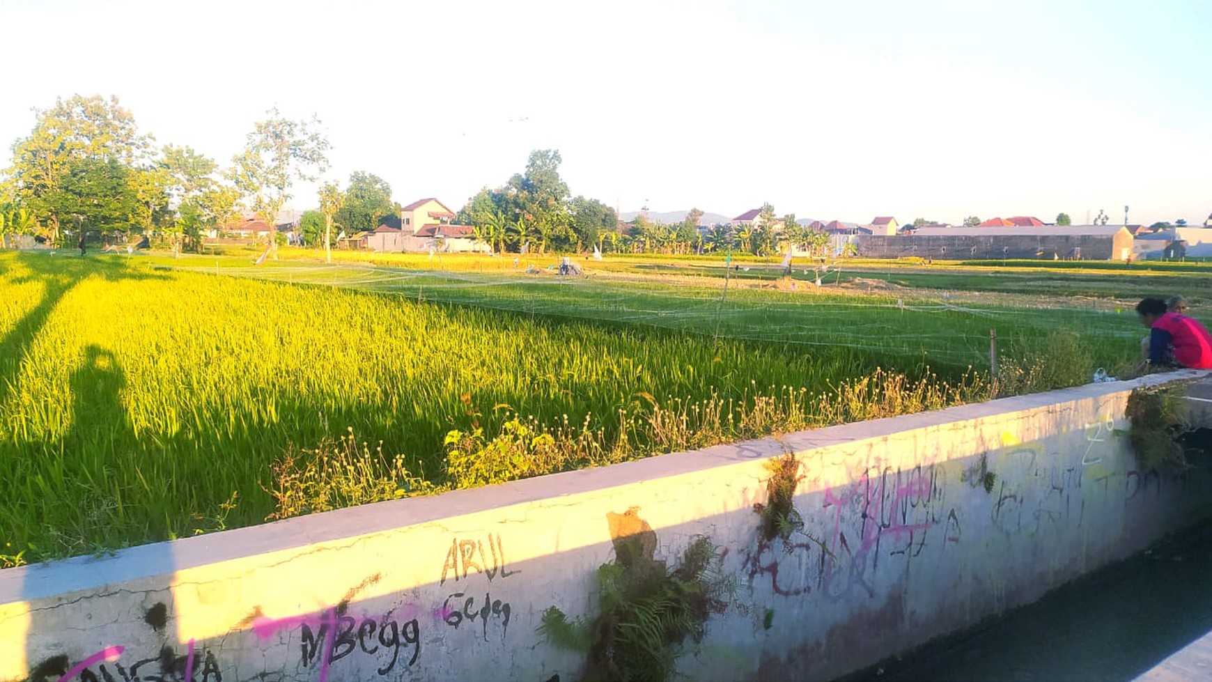 Tanah Luas 3000 Meter Persegi di Jl Parangtritis Bantul