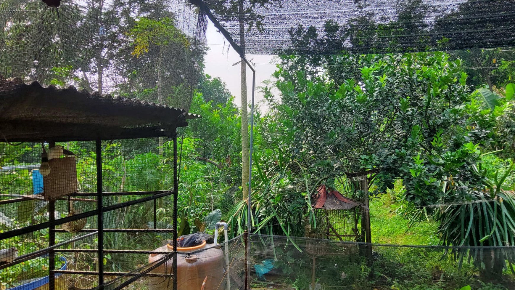Rumah dan Tanah Lokasi Strategis Cocok untuk Perumahan - Cluster di Sawangan - Pondok Cabe  Depok