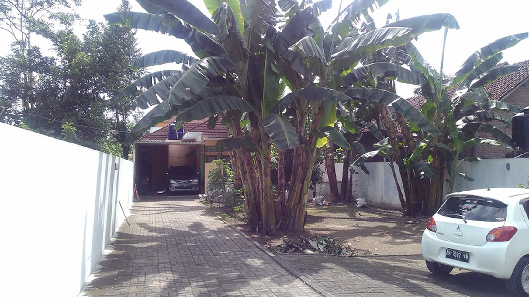 Tanah Luas Bonus Rumah Bagus Diatasnya, Corongan, Maguwoharjo