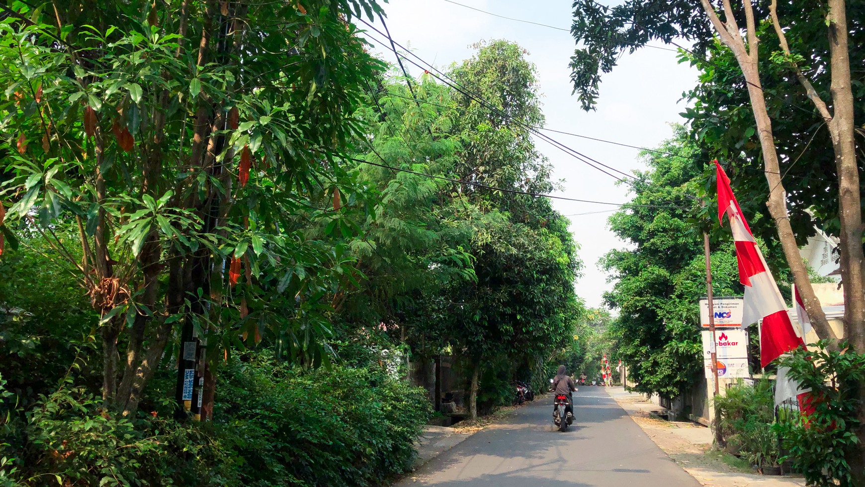 Rumah 1 Lantai di veteran Bintaro Jakarta Selatan