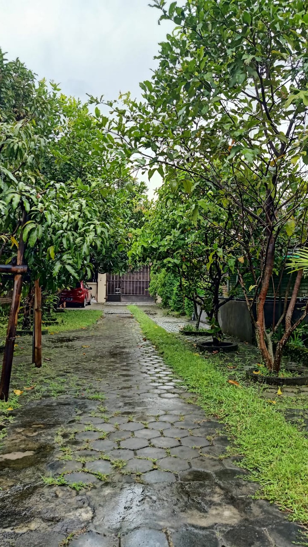 Rumah Klasik dengan aksen Jawa di Godean Yogyakarta