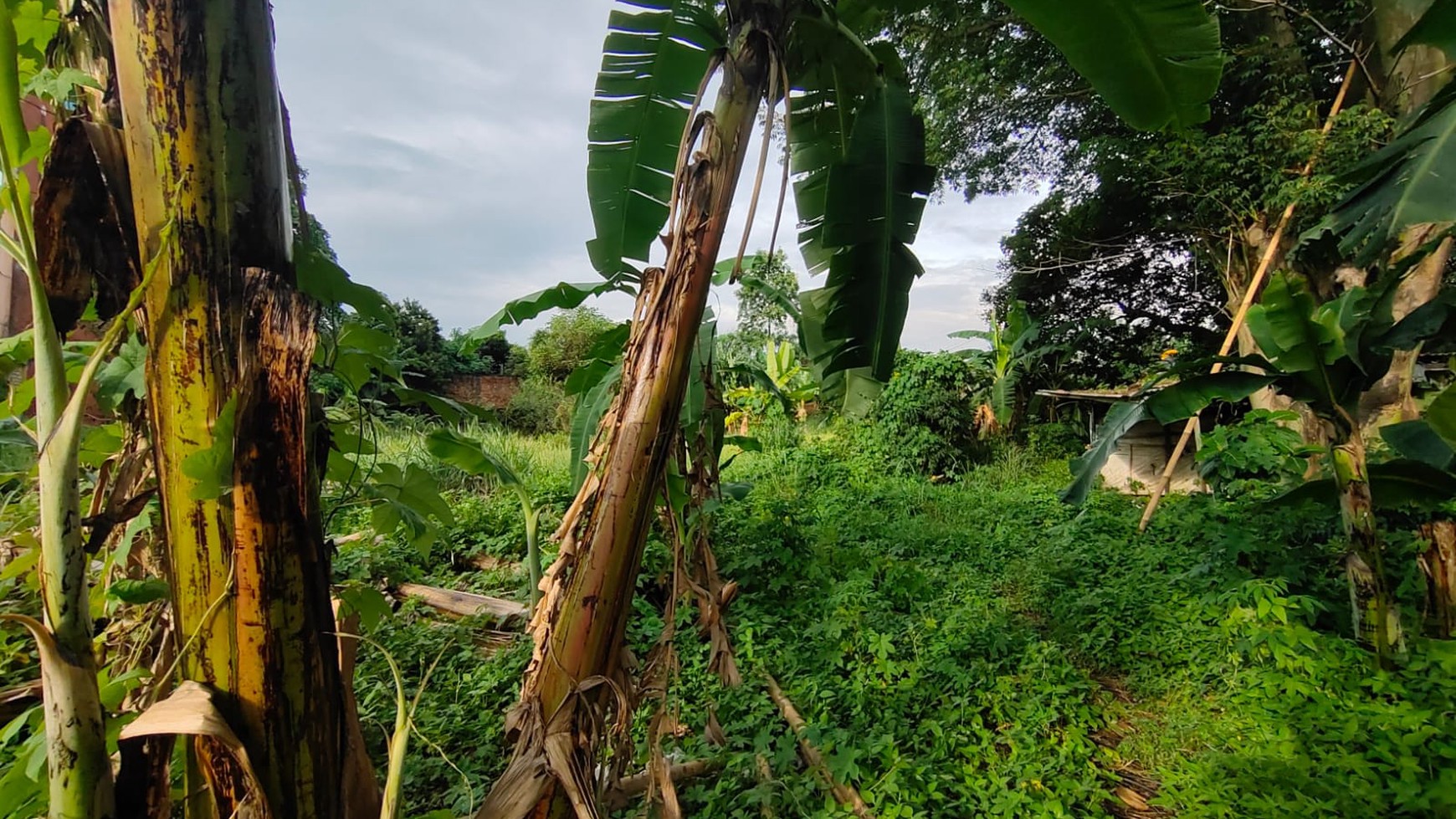 Lahan Siap Bangun Komersil seluas 3.080m2