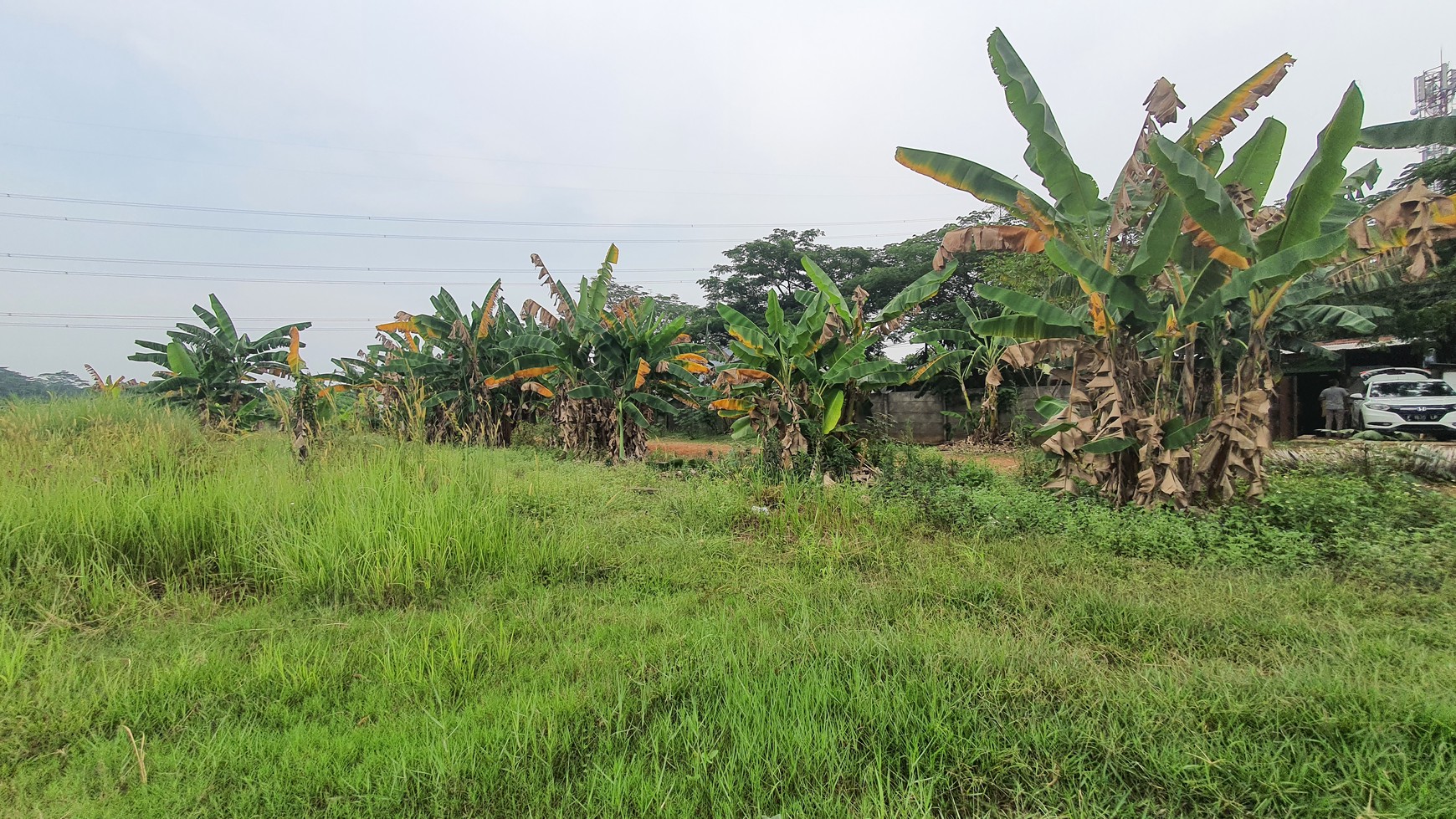 TURUN HARGA. Lahan seluas 11 hektar di kawasan Narogong - Limus Nunggal, Ciketing Udik, Pasir Angin