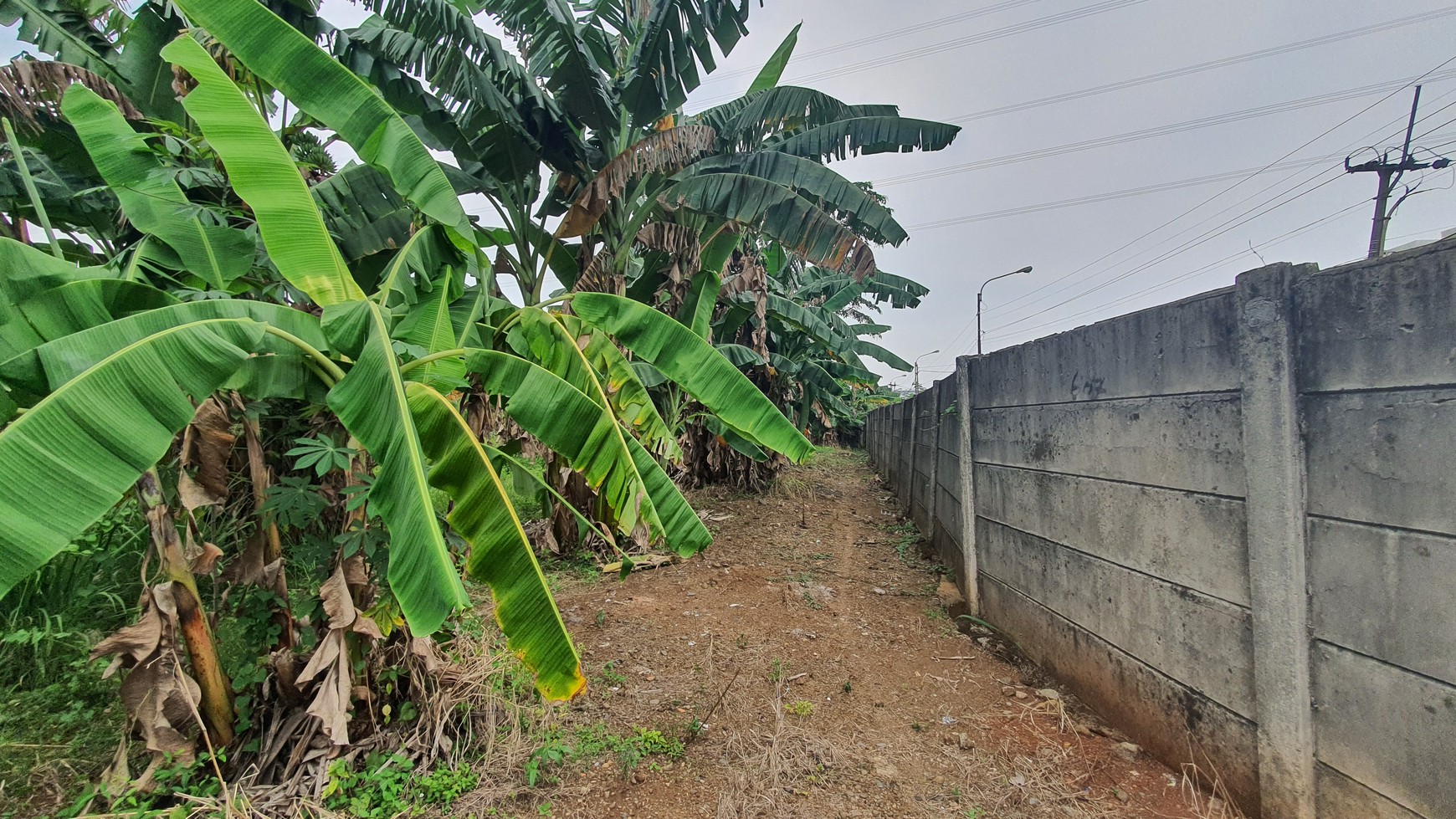 TURUN HARGA. Lahan seluas 11 hektar di kawasan Narogong - Limus Nunggal, Ciketing Udik, Pasir Angin